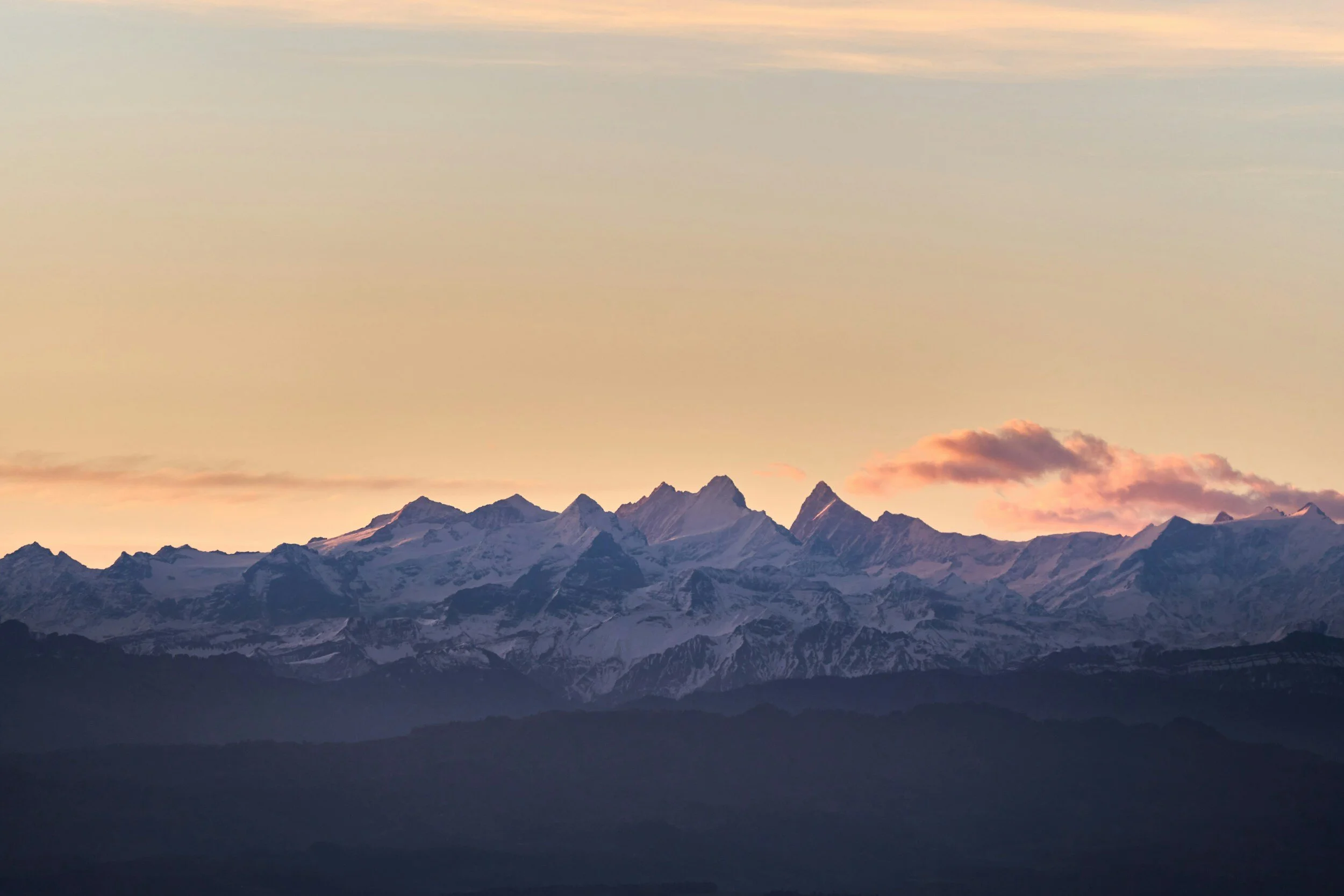 Diversified Midwifery Practice in the United States preview image