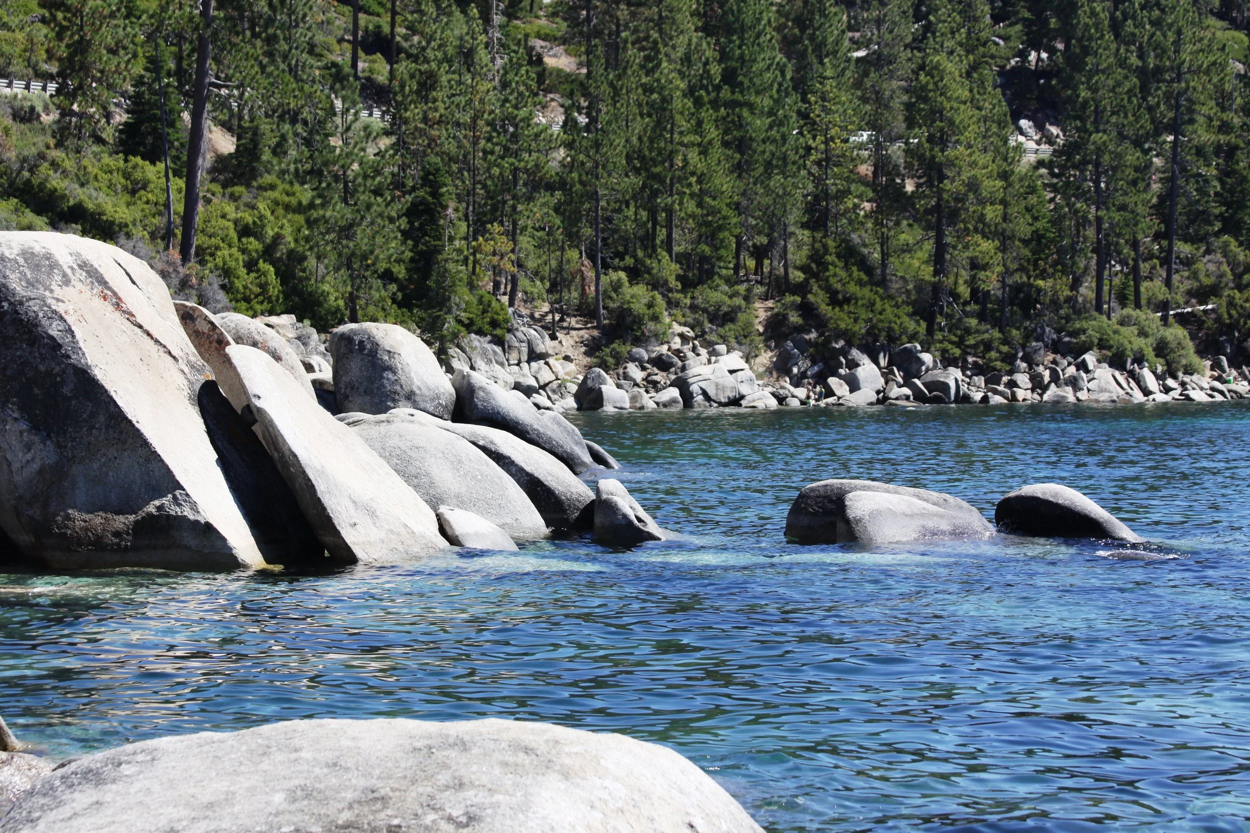 Nurse-Midwifery Scope of Practice preview image