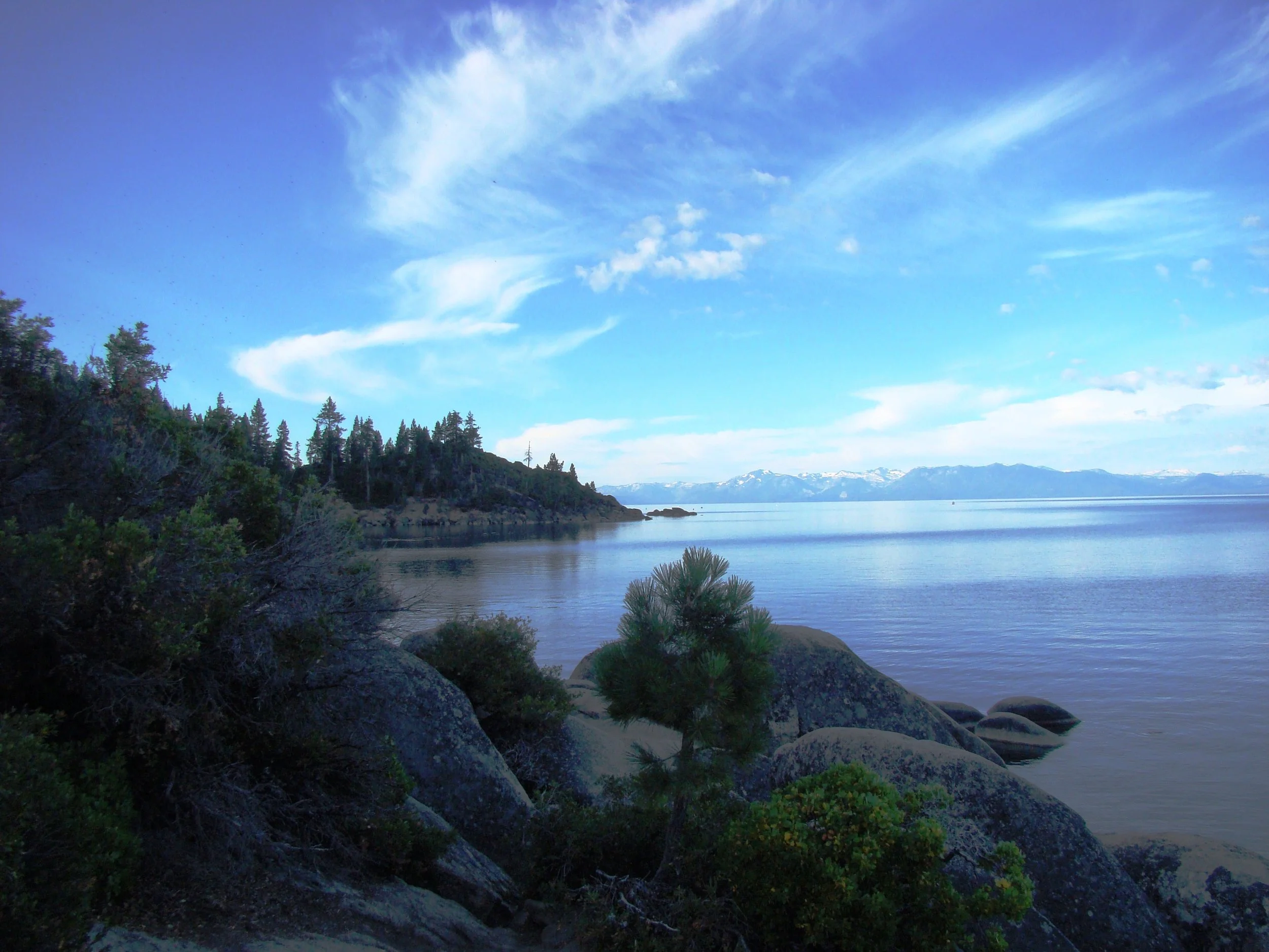 Federal Agencies and Defining CNM Practice preview image