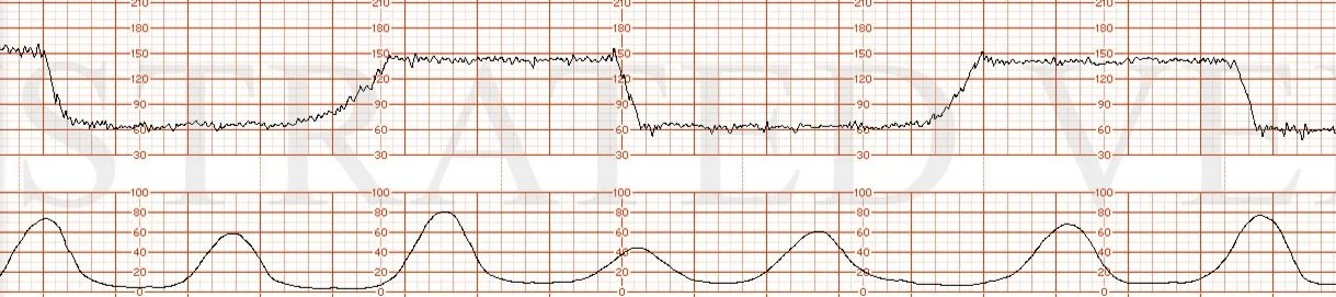 Illustrated Verdict, Inc.  DrGarite0206