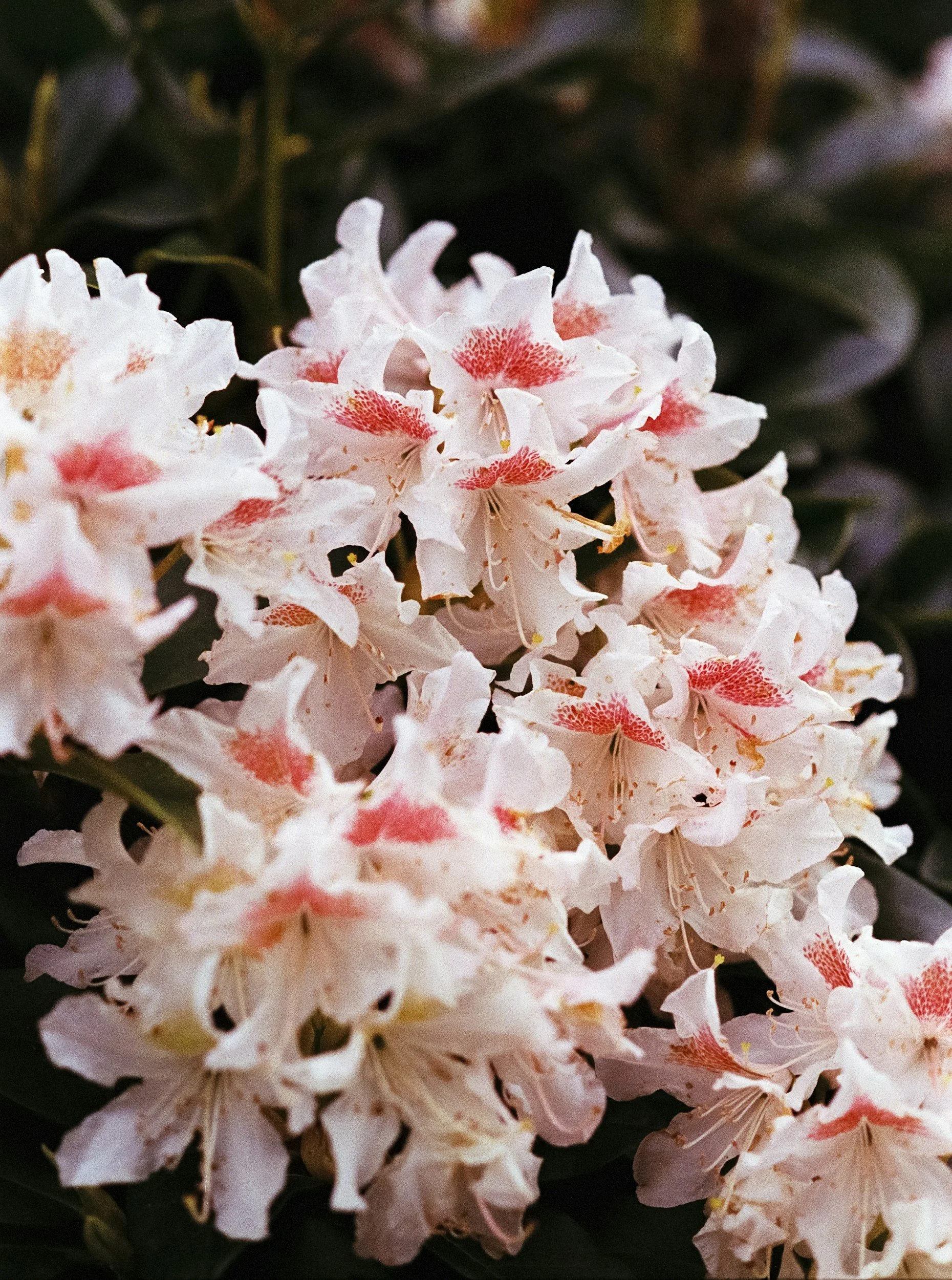 Artists’ Eyes&nbsp; &nbsp; &nbsp; &nbsp; &nbsp; &nbsp; &nbsp; &nbsp; &nbsp; &nbsp; &nbsp; &nbsp; &nbsp; &nbsp; &nbsp; &nbsp; &nbsp; &nbsp; &nbsp; &nbsp; unsplash image