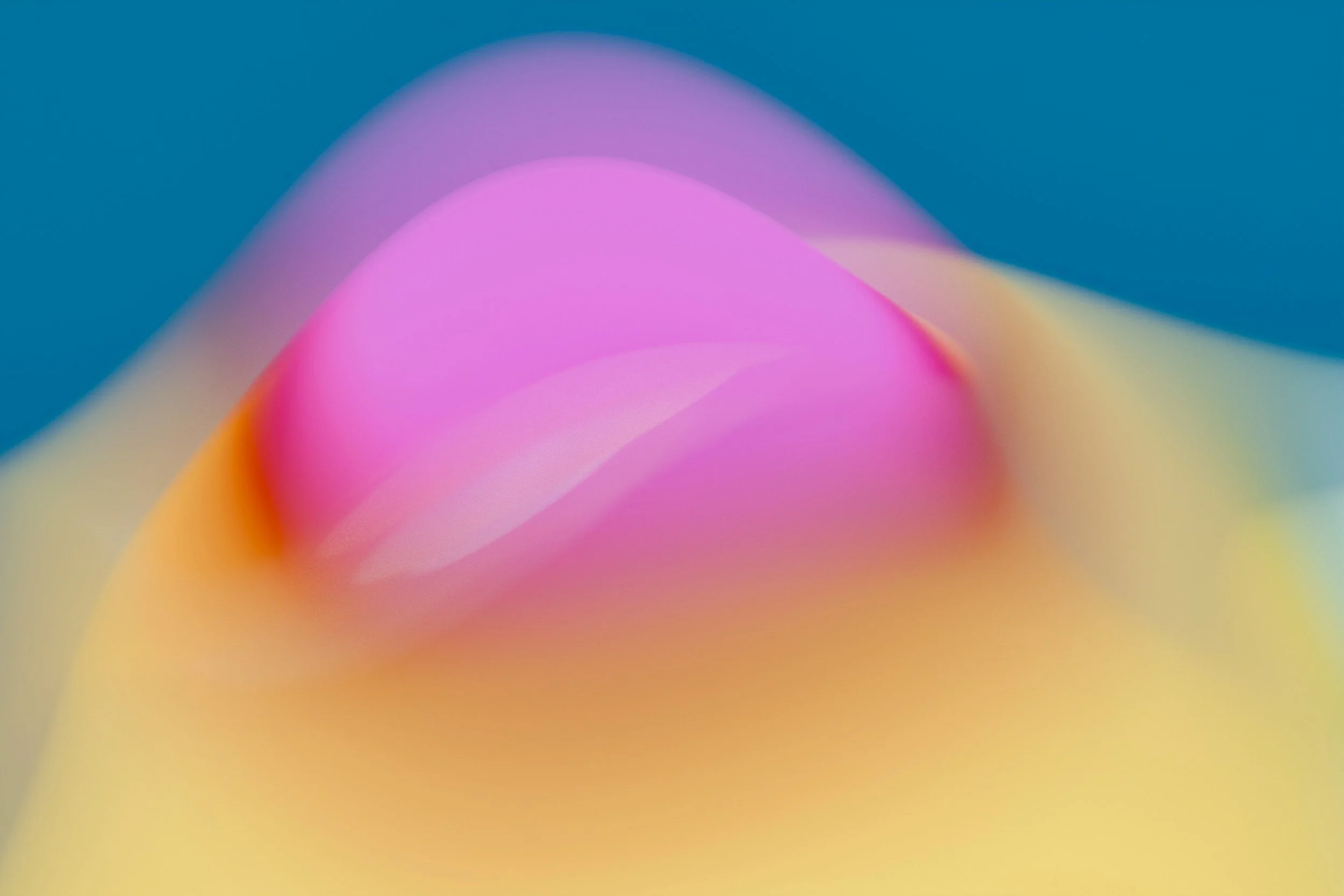 Steve Johnson/unspl img