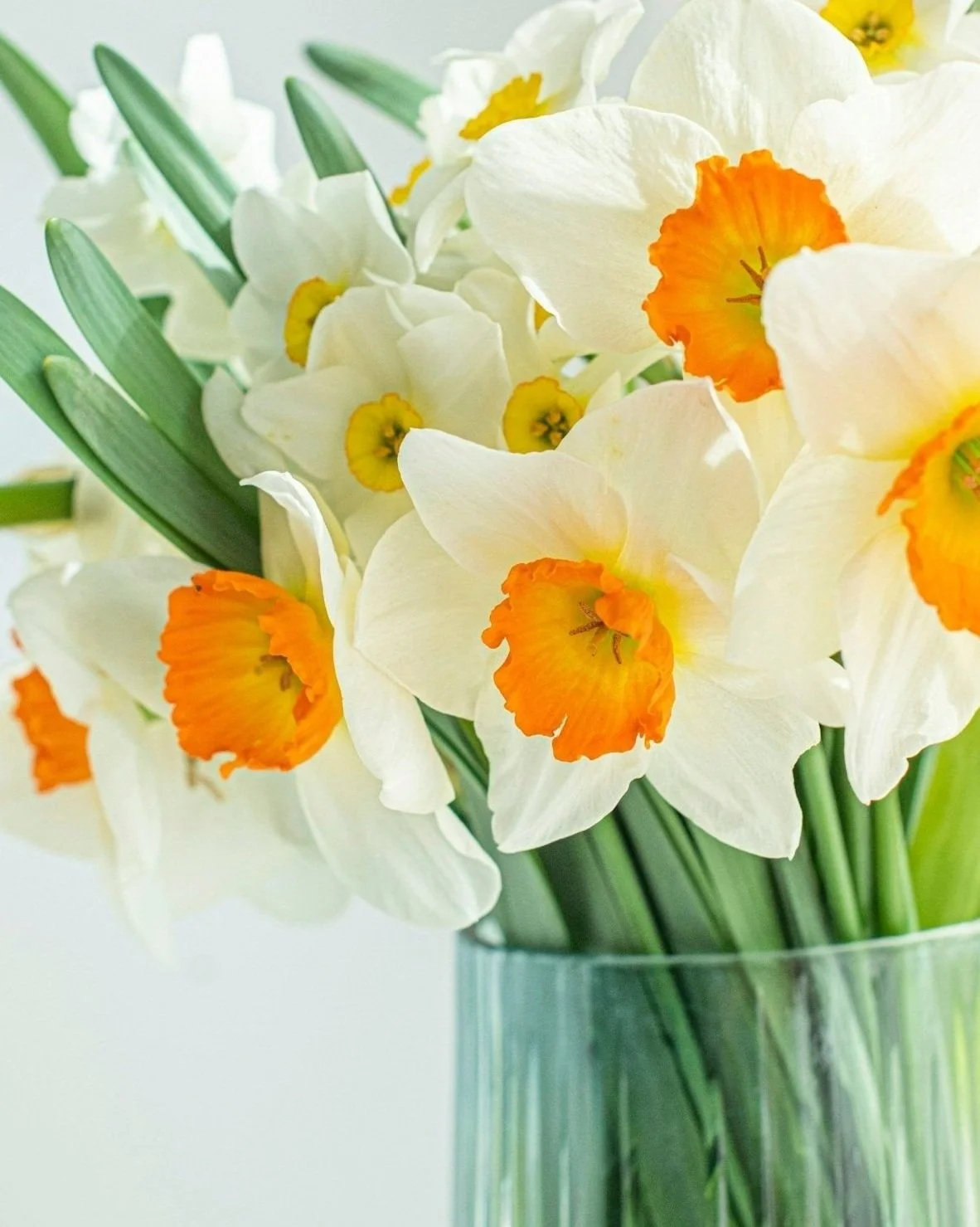 Birta    unspl image