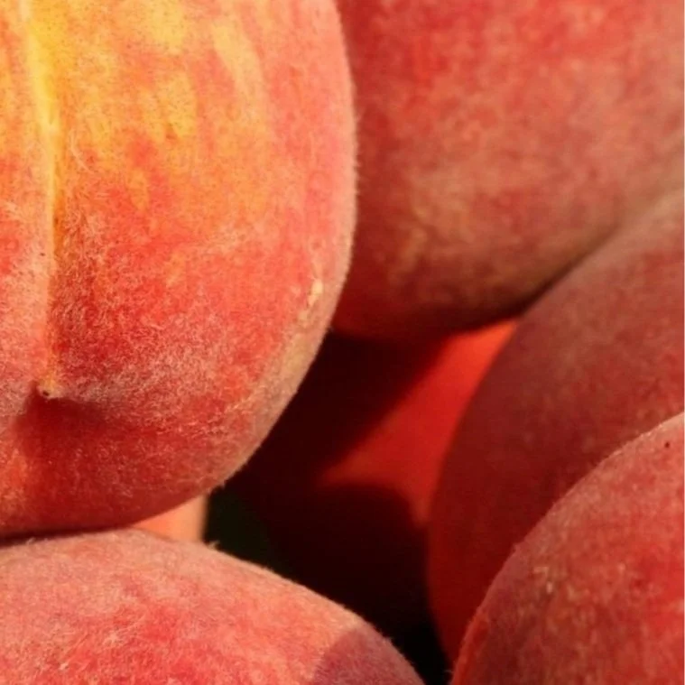 NisonCo PR and SEO  unspl img