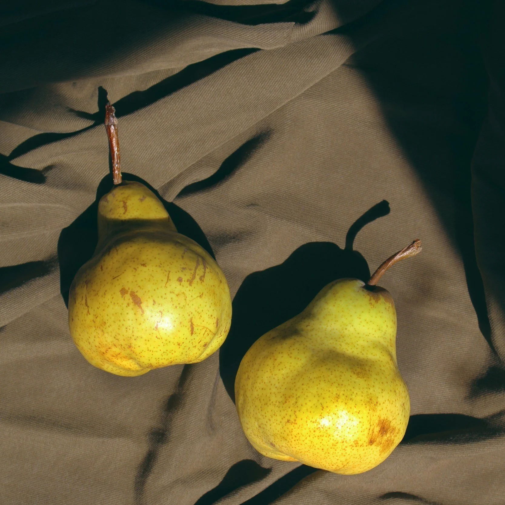 Alesia Bahhril  unspl img