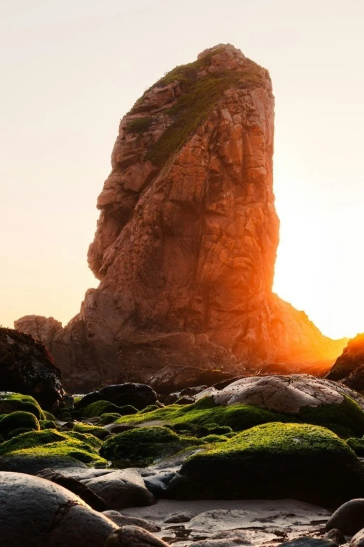 Fereira&nbsp; &nbsp; &nbsp; &nbsp; &nbsp; &nbsp; &nbsp; &nbsp; unsplash image