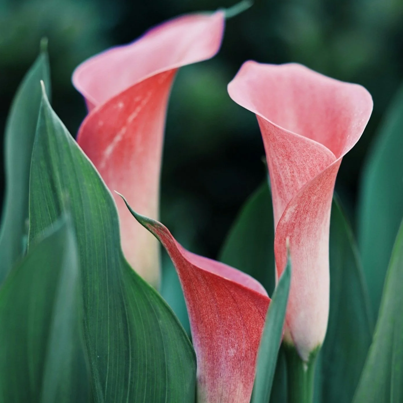 Ethan Robertson  Unspl Img