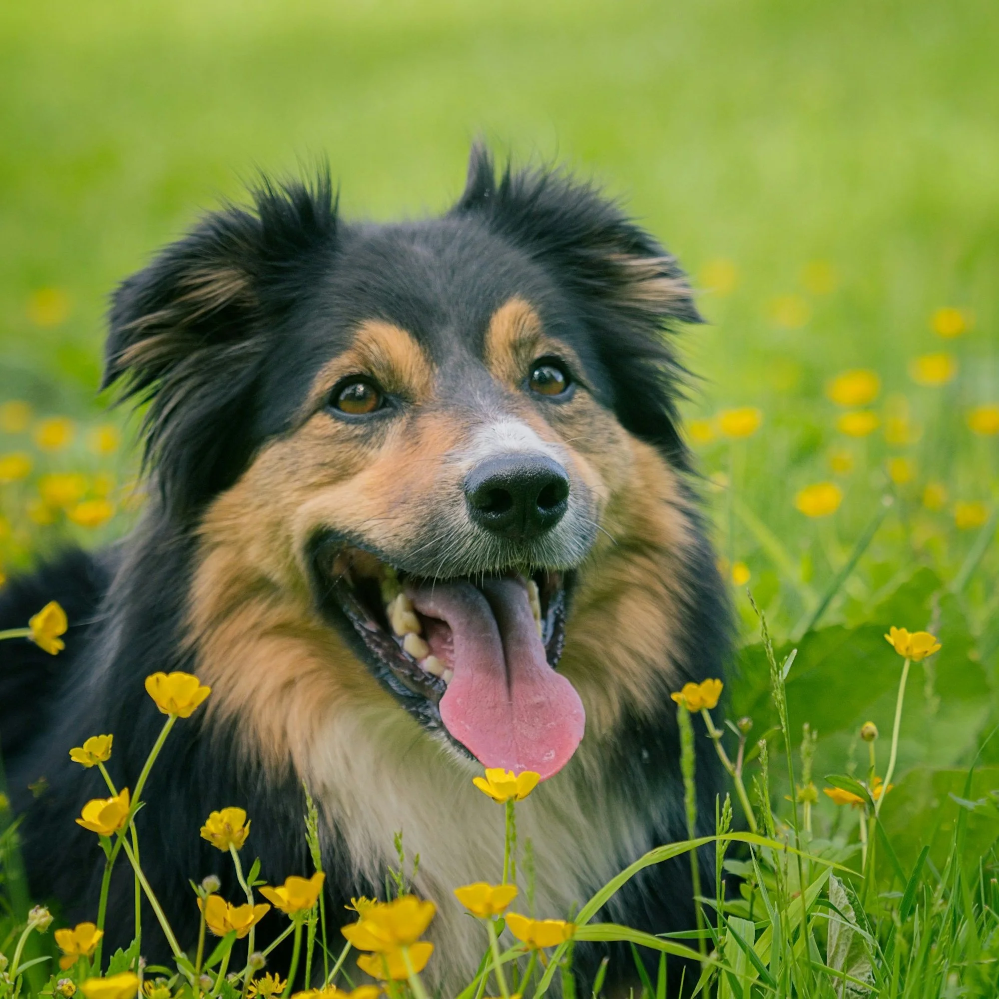 unspl img  G. Parrett