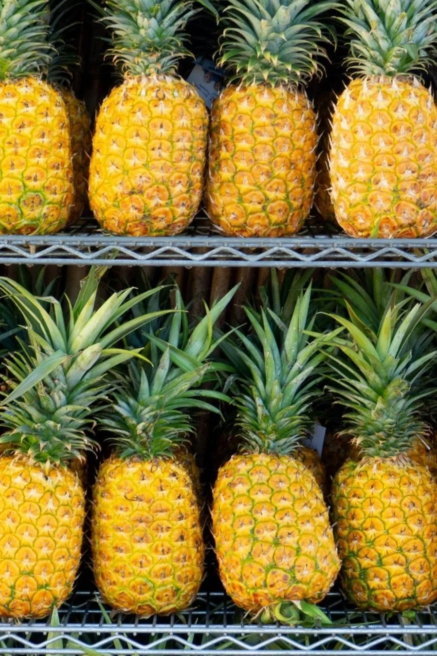 Fiona Smallwood                                                                                                           unspl img