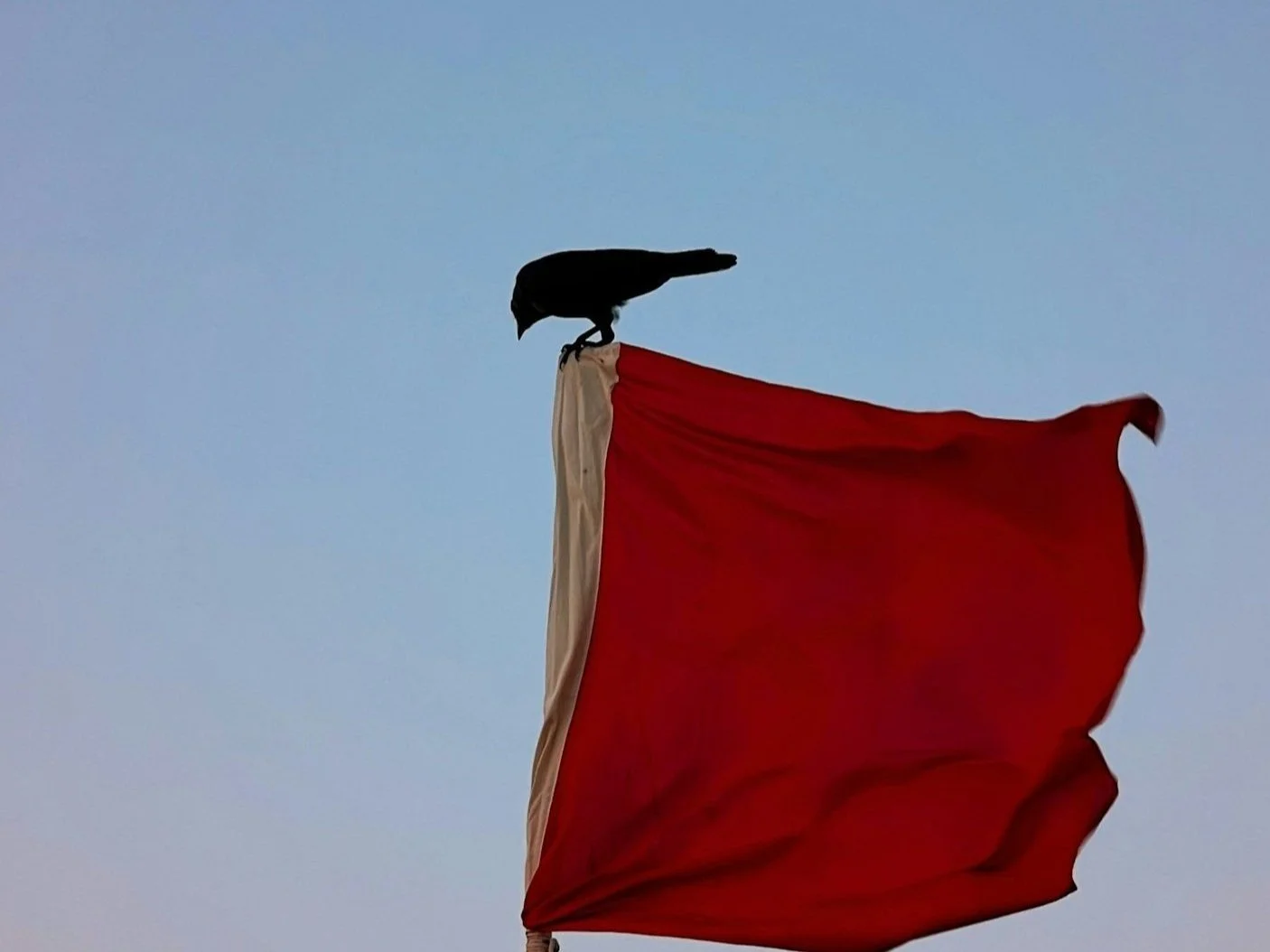 Slauva Tochacheu                    unspl img