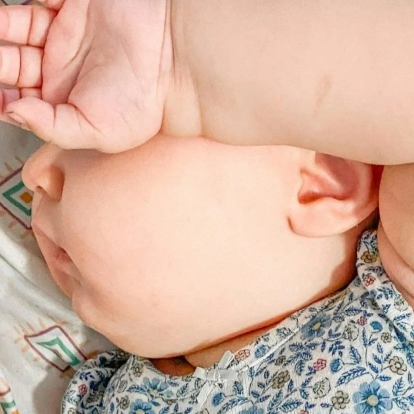 Laura Ohlman                 Unsplash img