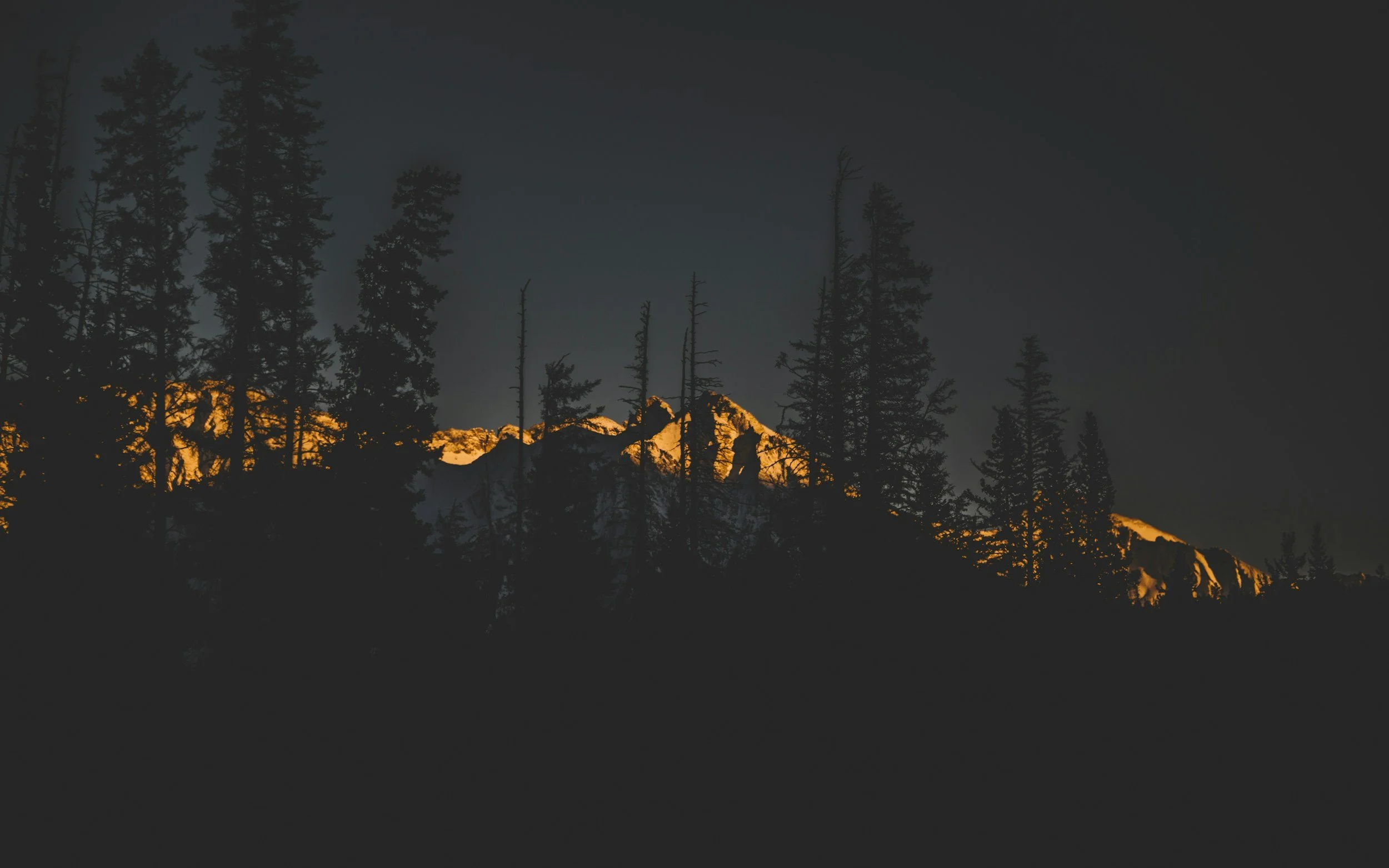 Michelle McCormick unspl img