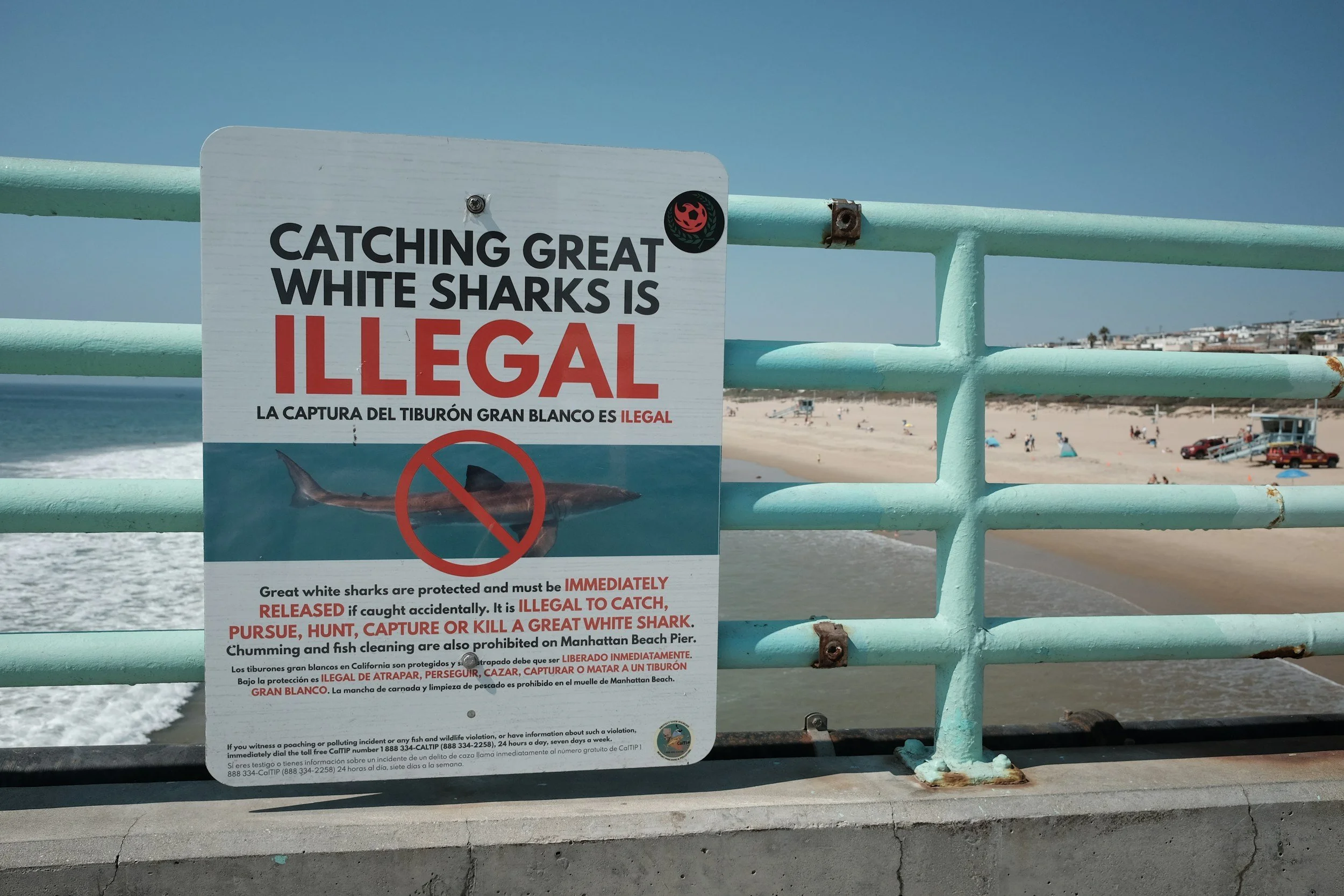 Michael                                                                                         unspl img