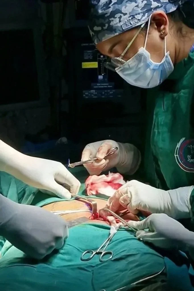 Niveditha                                             Unspl Img