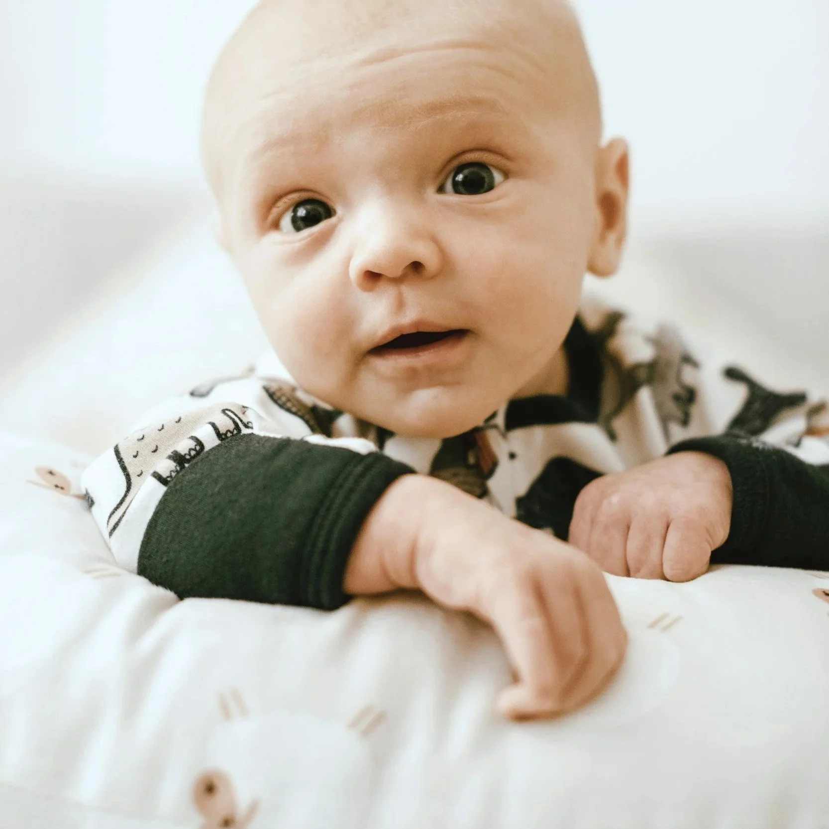 Tim Mossholder                                                                                unspl